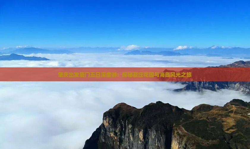肇庆出发厦门五日深度游：探秘菽庄花园与海岛风光之旅