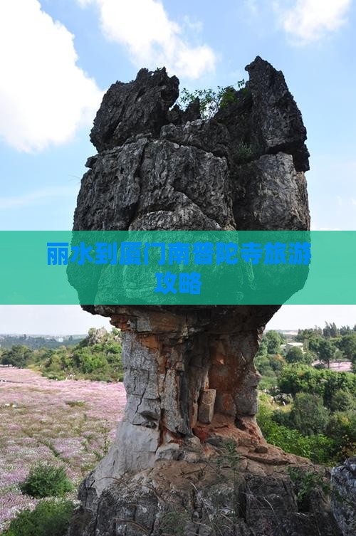 丽水到厦门南普陀寺旅游攻略