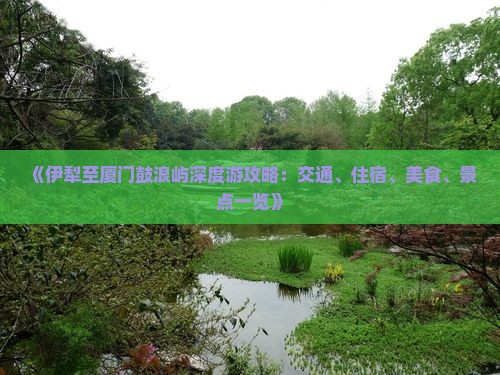 《伊犁至厦门鼓浪屿深度游攻略：交通、住宿、美食、景点一览》