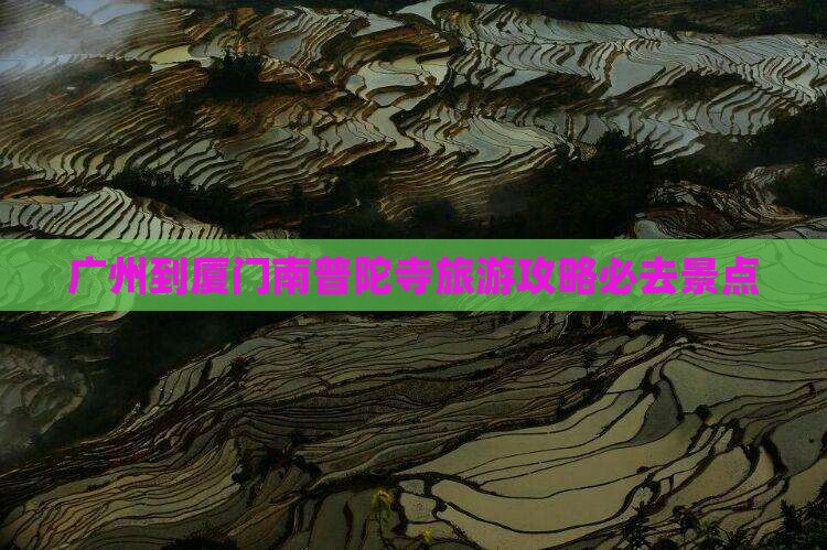 广州到厦门南普陀寺旅游攻略必去景点
