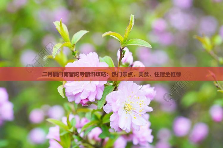 二月厦门南普陀寺旅游攻略：热门景点、美食、住宿全推荐