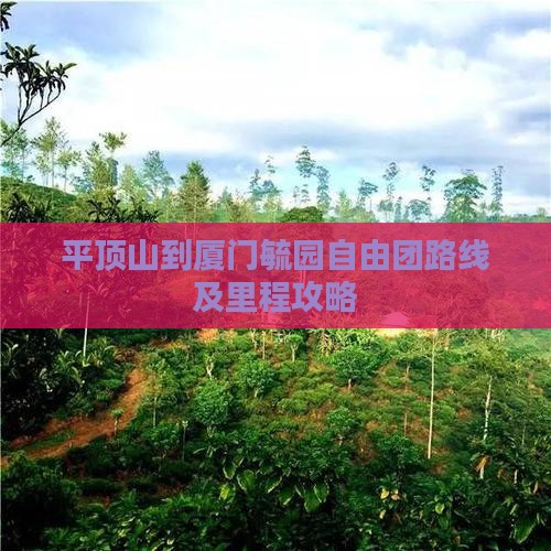 平顶山到厦门毓园自由团路线及里程攻略