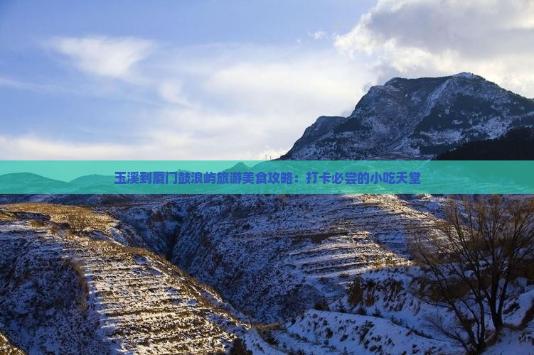 玉溪到厦门鼓浪屿旅游美食攻略：打卡必尝的小吃天堂