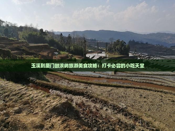 玉溪到厦门鼓浪屿旅游美食攻略：打卡必尝的小吃天堂