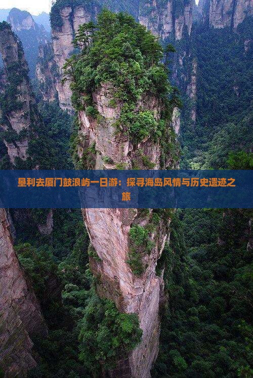 垦利去厦门鼓浪屿一日游：探寻海岛风情与历史遗迹之旅
