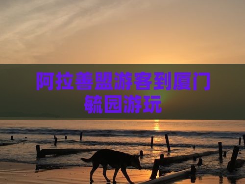 阿拉善盟游客到厦门毓园游玩