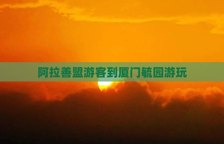 阿拉善盟游客到厦门毓园游玩