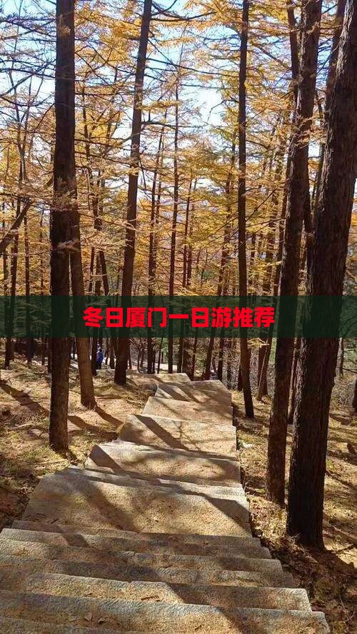 冬日厦门一日游推荐