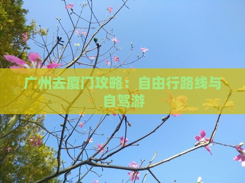 广州去厦门攻略：自由行路线与自驾游
