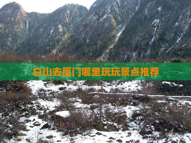 白山去厦门哪里玩玩景点推荐