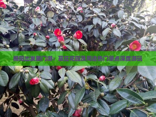 揭阳出发厦门游：菽庄花园及周边热门景点深度游玩