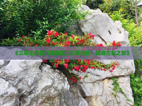 《三明出发厦门南普陀二日游攻略：畅游古刹之旅》