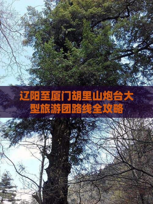 辽阳至厦门胡里山炮台大型旅游团路线全攻略
