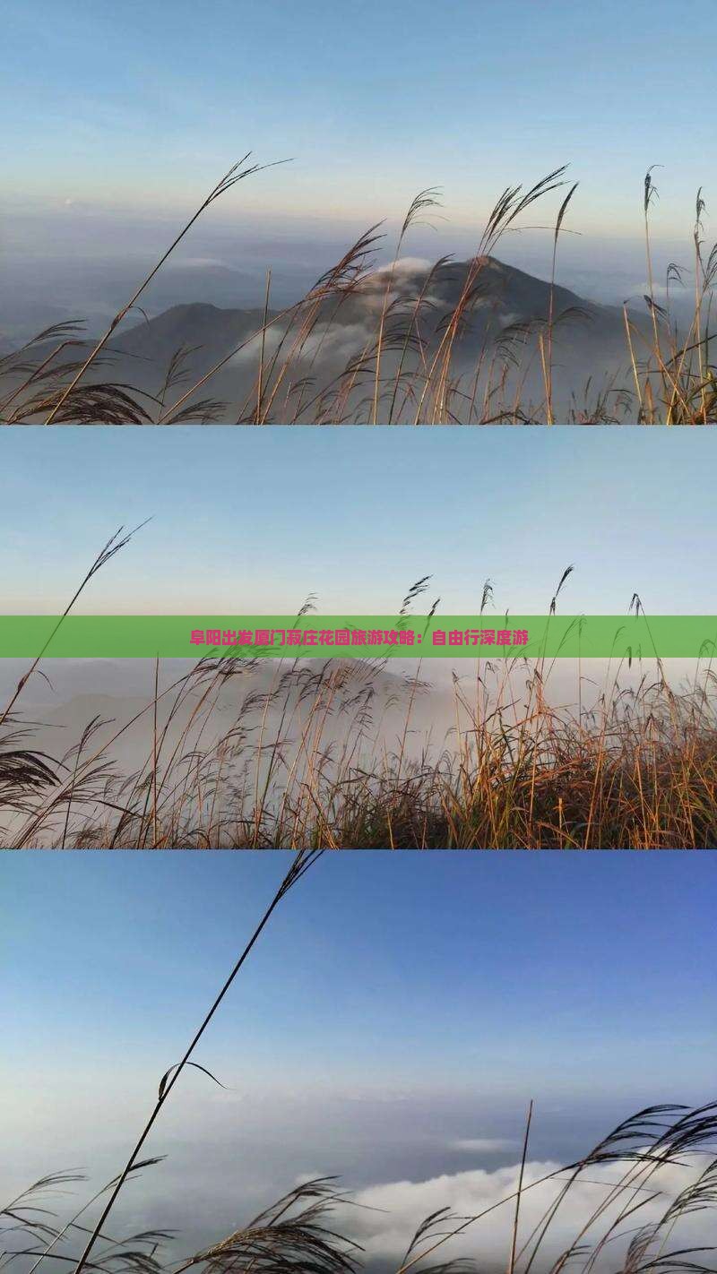 阜阳出发厦门菽庄花园旅游攻略：自由行深度游