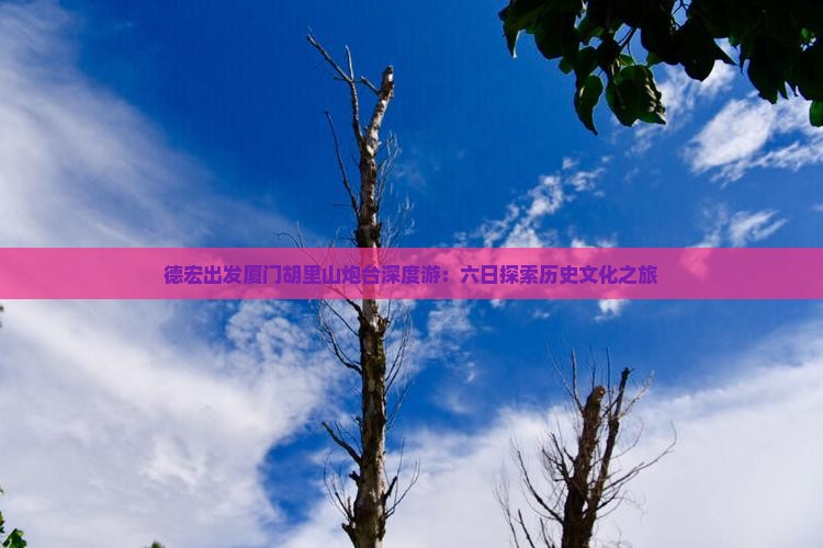 德宏出发厦门胡里山炮台深度游：六日探索历史文化之旅