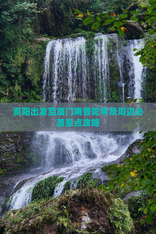 资阳出发至厦门南普陀寺及周边必游景点攻略