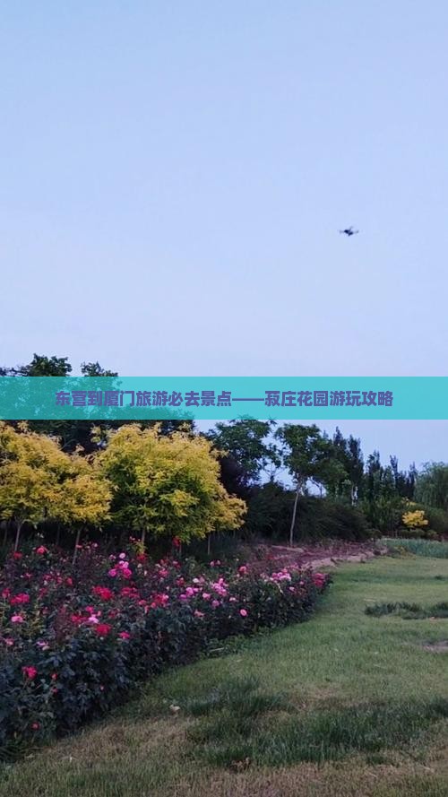 东营到厦门旅游必去景点——菽庄花园游玩攻略