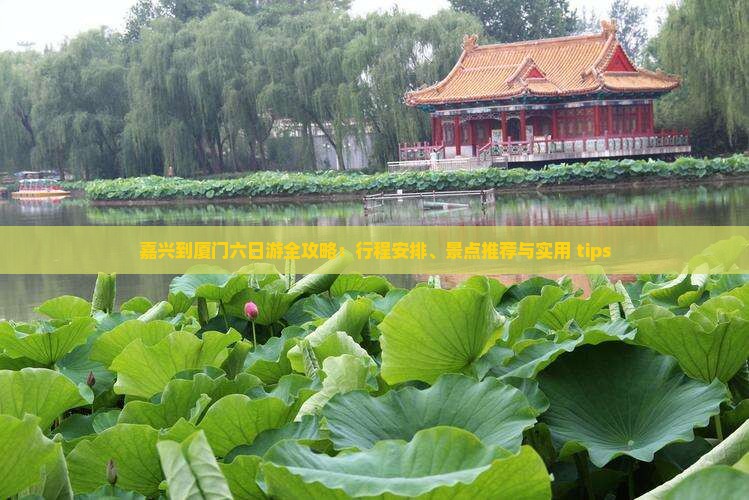 嘉兴到厦门六日游全攻略：行程安排、景点推荐与实用 tips