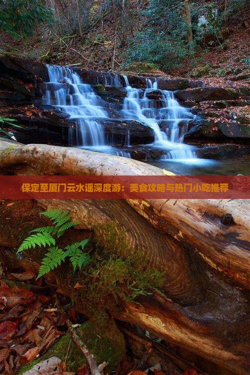 保定至厦门云水谣深度游：美食攻略与热门小吃推荐