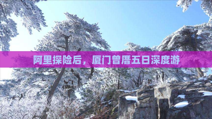 阿里探险后，厦门曾厝五日深度游