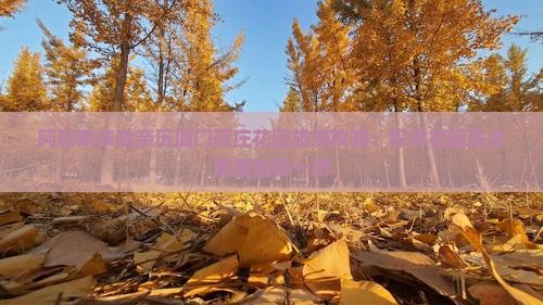 阿勒泰泰勒亲历厦门菽庄花园旅游攻略：探寻花园景点哪里值得一游