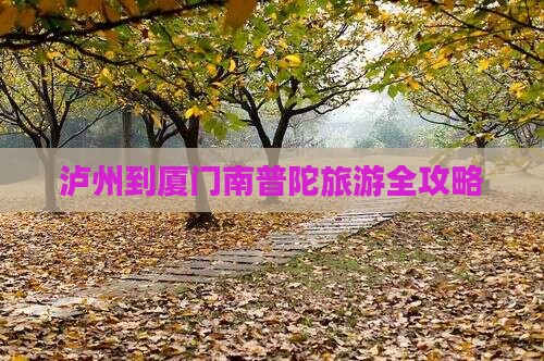 泸州到厦门南普陀旅游全攻略