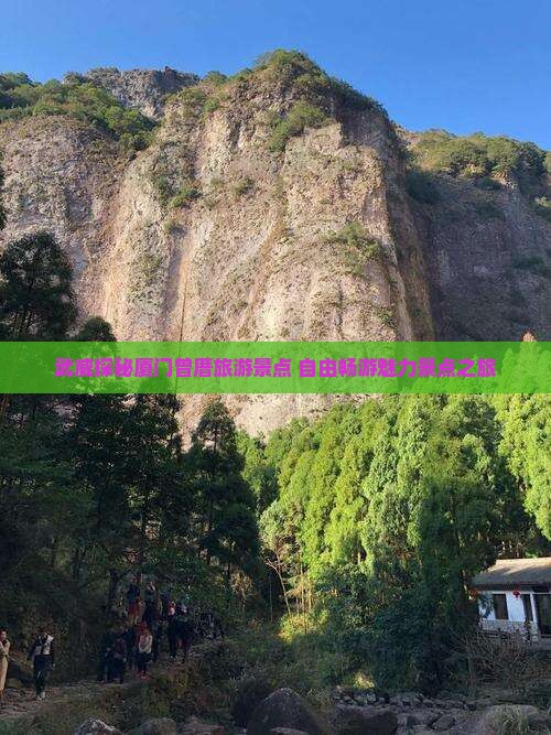 武威探秘厦门曾厝旅游景点 自由畅游魅力景点之旅