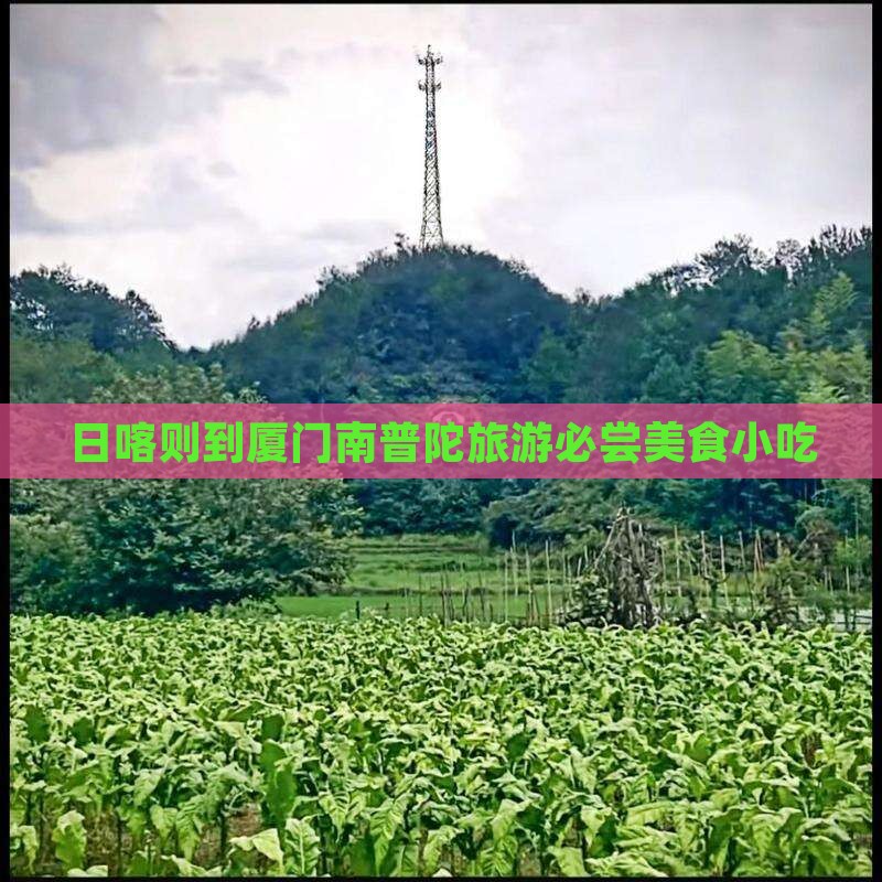 日喀则到厦门南普陀旅游必尝美食小吃