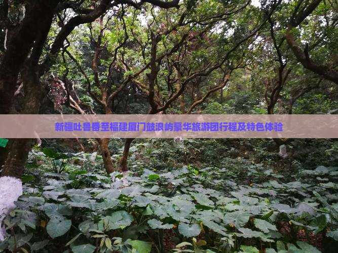 新疆吐鲁番至福建厦门鼓浪屿豪华旅游团行程及特色体验