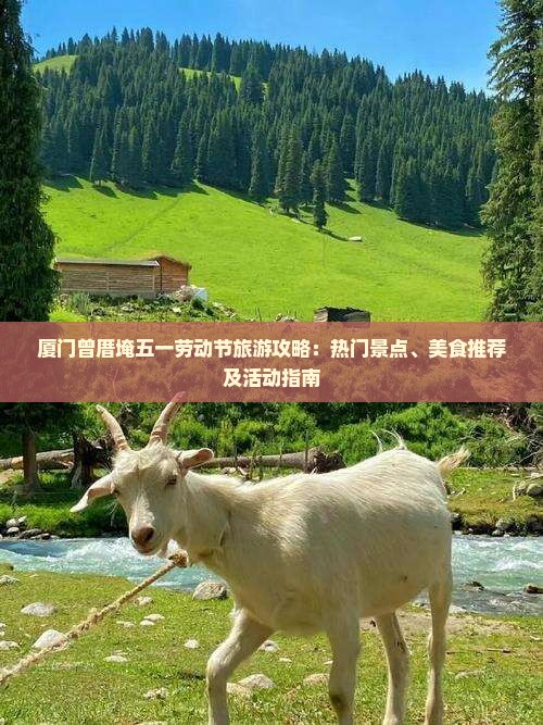 厦门曾厝埯五一劳动节旅游攻略：热门景点、美食推荐及活动指南