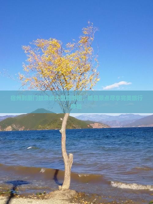 宿州到厦门鼓浪屿大型旅游团，精品景点尽享完美旅行体验