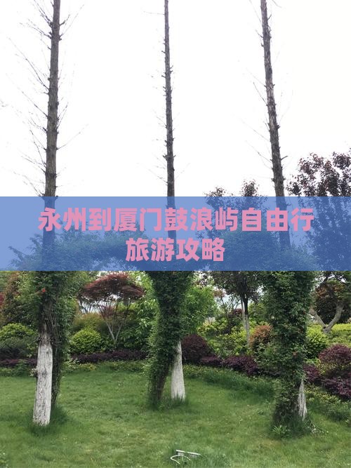 永州到厦门鼓浪屿自由行旅游攻略