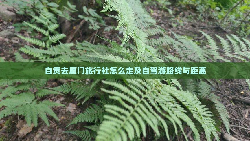 自贡去厦门旅行社怎么走及自驾游路线与距离