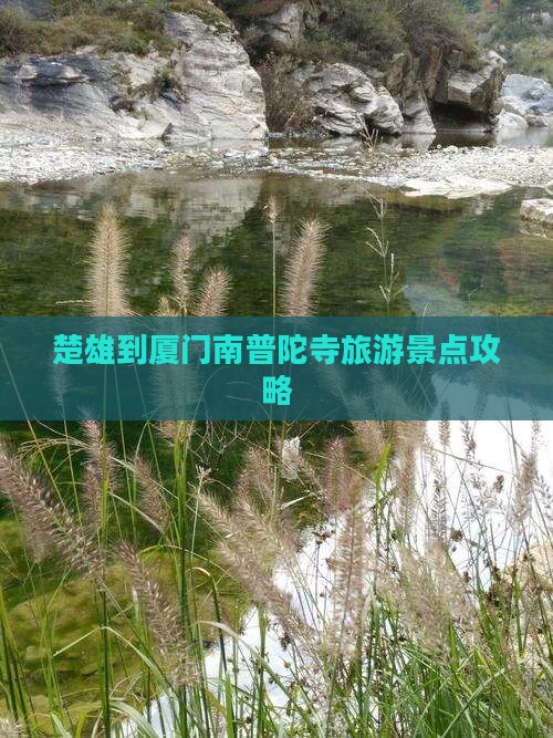 楚雄到厦门南普陀寺旅游景点攻略