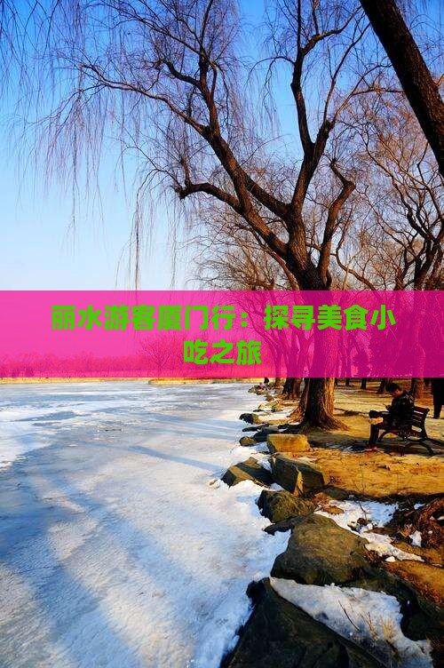丽水游客厦门行：探寻美食小吃之旅