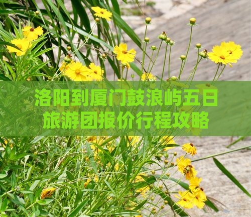 洛阳到厦门鼓浪屿五日旅游团报价行程攻略