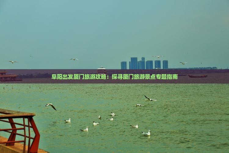 阜阳出发厦门旅游攻略：探寻厦门旅游景点专题指南