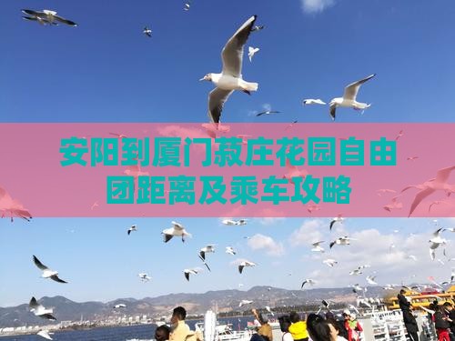 安阳到厦门菽庄花园自由团距离及乘车攻略