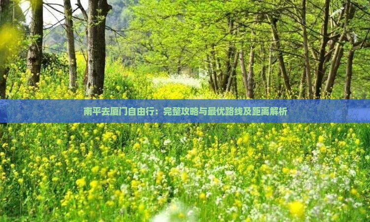 南平去厦门自由行：完整攻略与最优路线及距离解析