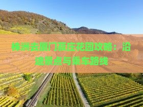 株洲去厦门菽庄花园攻略：沿途景点与乘车路线