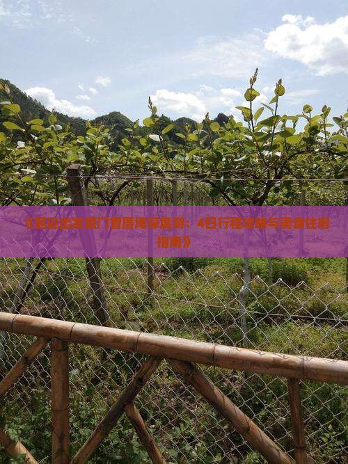 《延边出发厦门曾厝埯深度游：4日行程攻略与美食住宿指南》