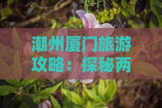 潮州厦门旅游攻略：探秘两地热门景点之旅