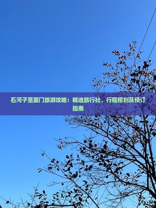 石河子至厦门旅游攻略：精选旅行社、行程规划及预订指南
