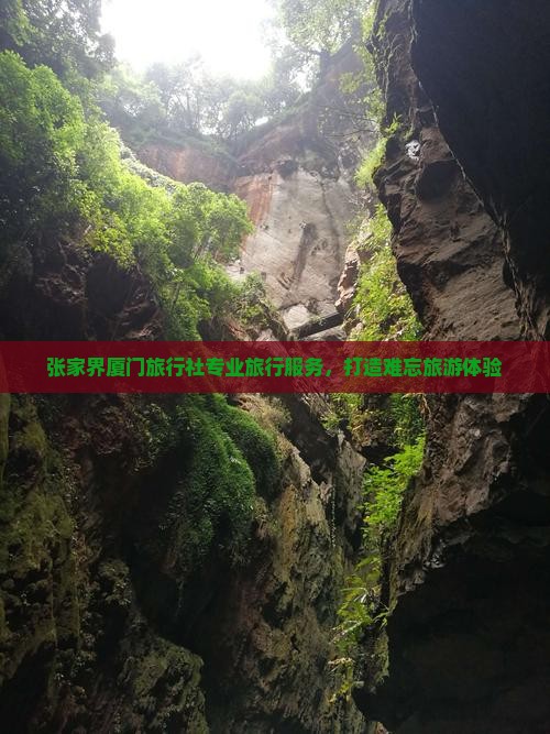 张家界厦门旅行社专业旅行服务，打造难忘旅游体验
