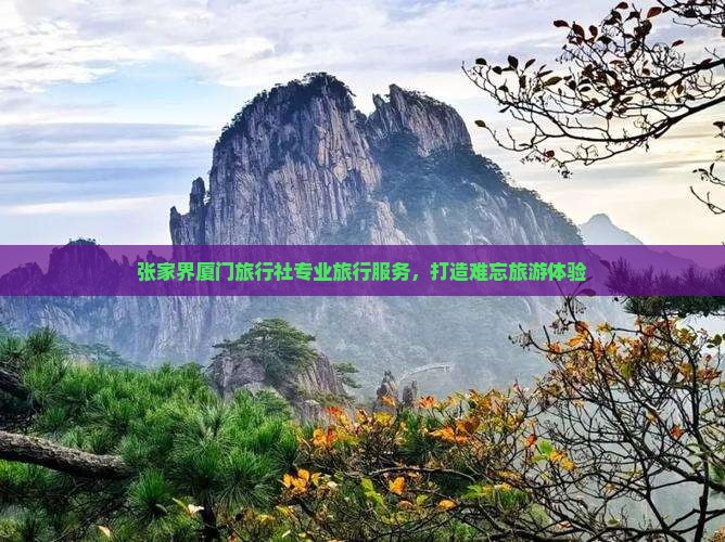张家界厦门旅行社专业旅行服务，打造难忘旅游体验