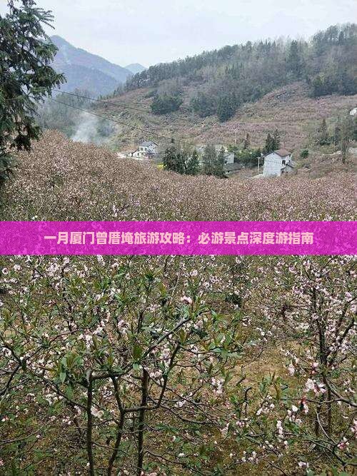 一月厦门曾厝埯旅游攻略：必游景点深度游指南