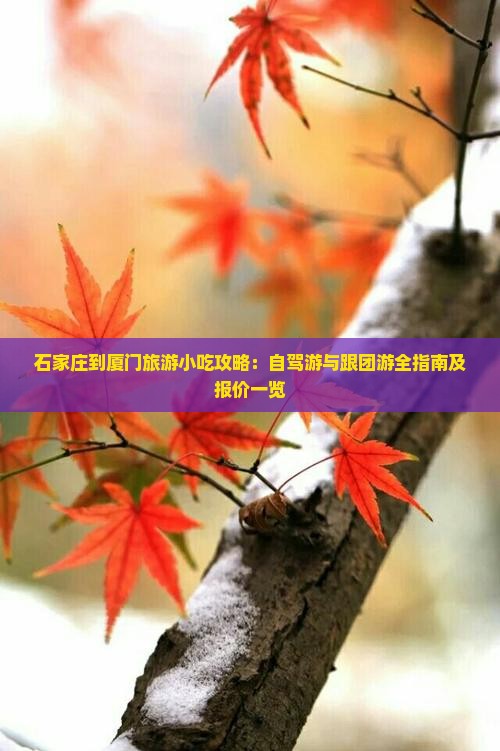 石家庄到厦门旅游小吃攻略：自驾游与跟团游全指南及报价一览