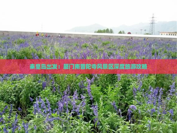 秦皇岛出发：厦门南普陀寺风景区深度旅游攻略