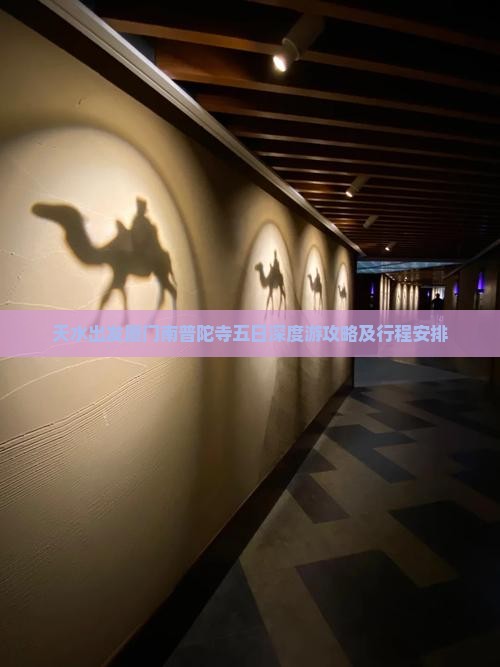 天水出发厦门南普陀寺五日深度游攻略及行程安排