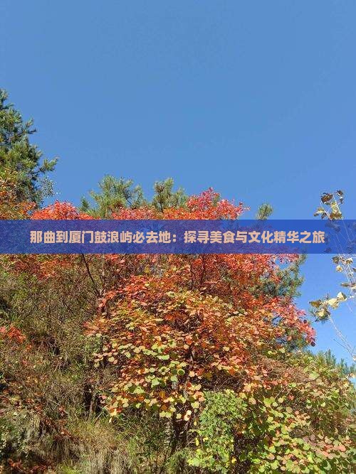 那曲到厦门鼓浪屿必去地：探寻美食与文化精华之旅